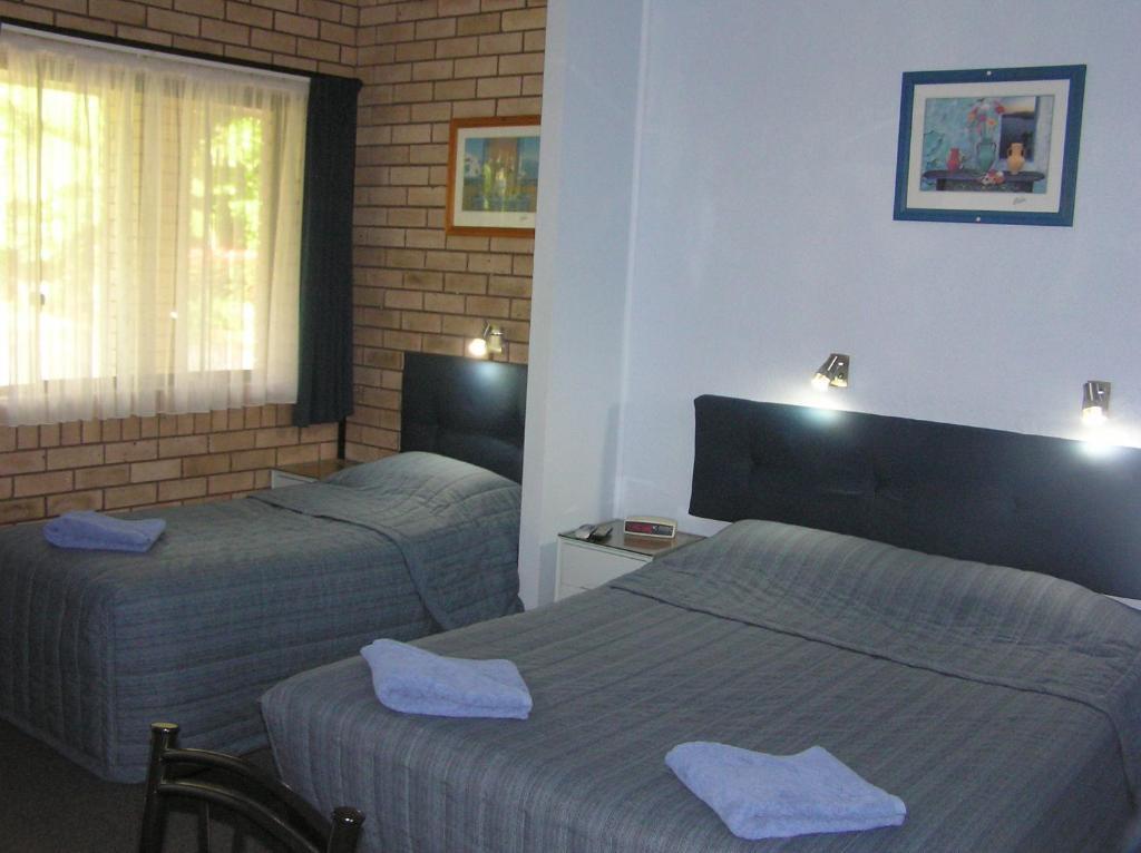 Sapphire Motel Korora Номер фото